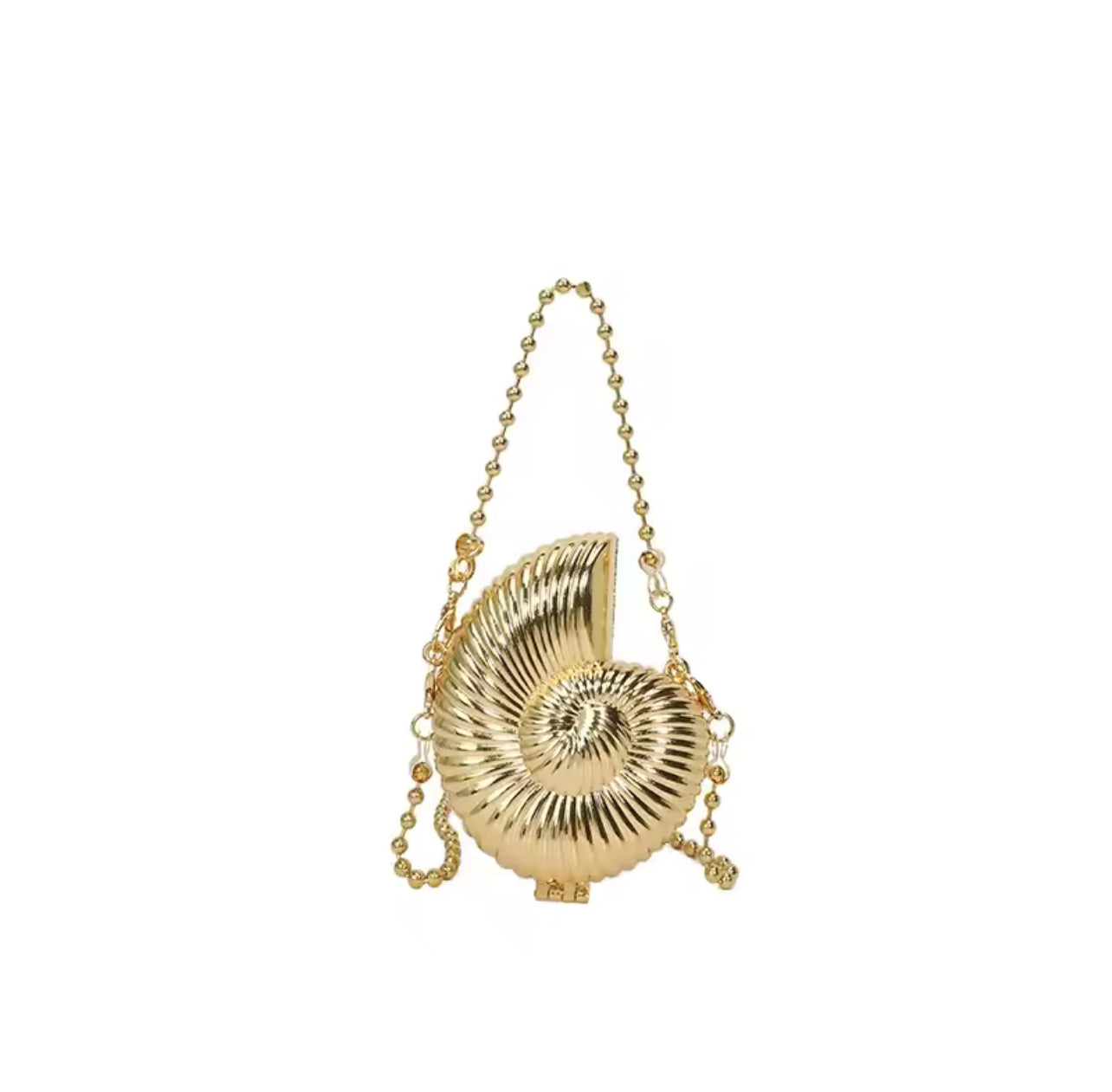 Mini Conch in the Sea Bag